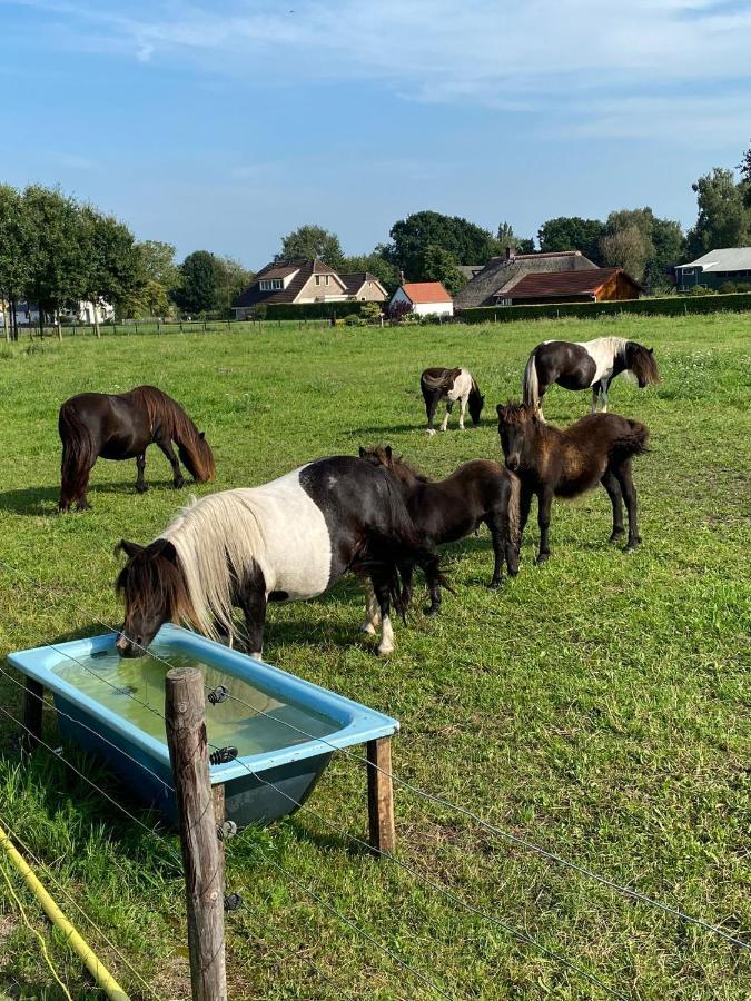 La Vita Veluwe Wapenveld 外观 照片