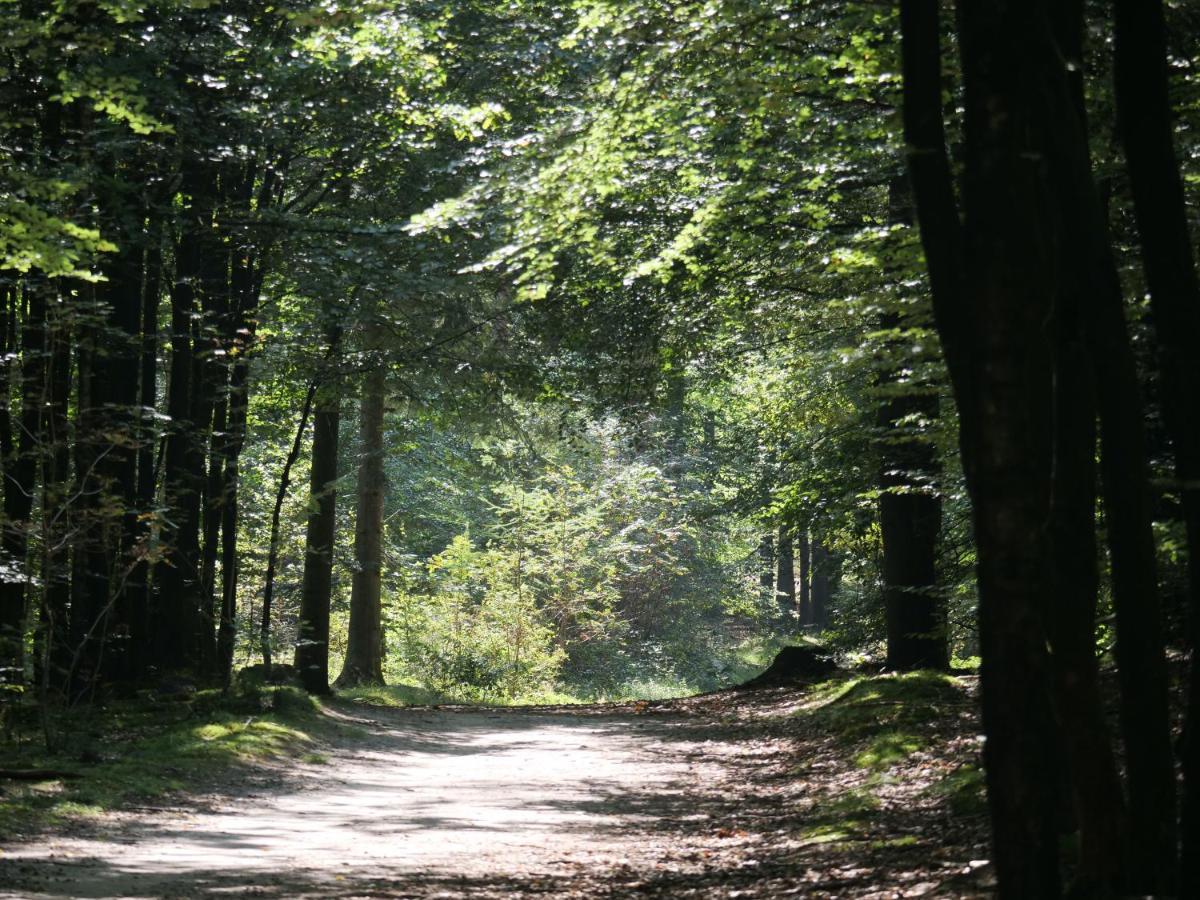 La Vita Veluwe Wapenveld 外观 照片